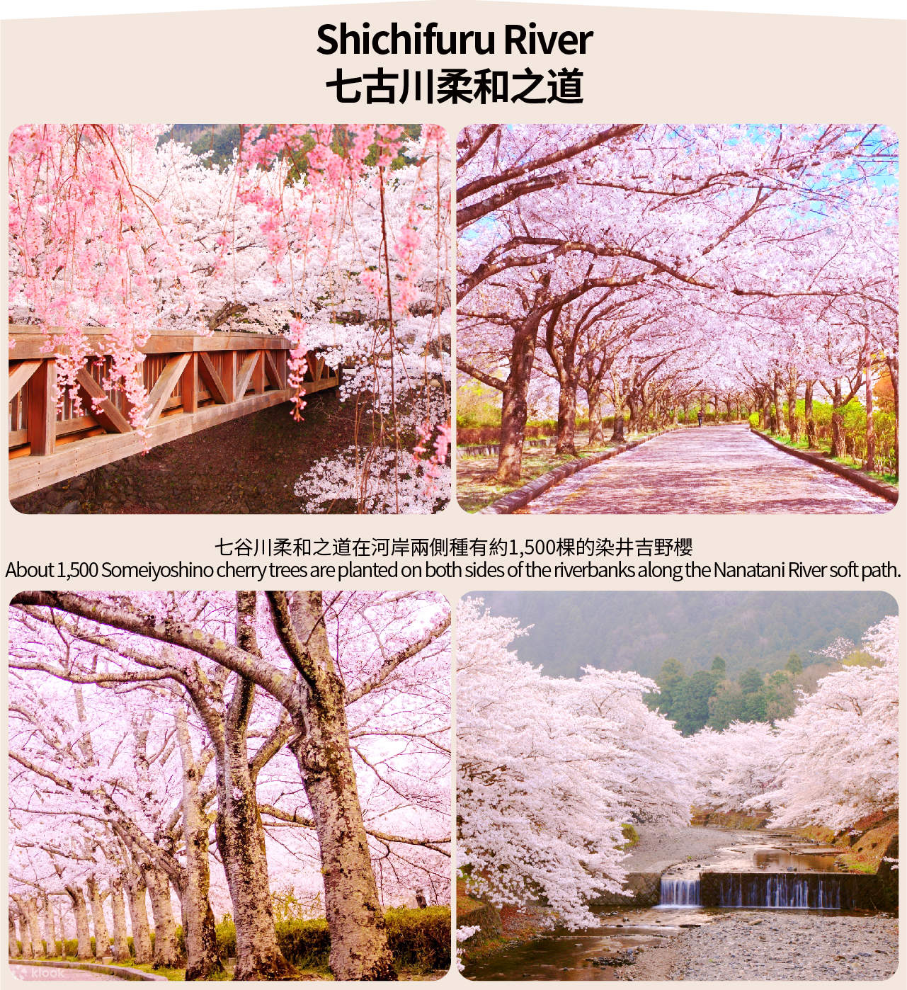 Kyoto-only during Cherry Blossom Season] Fushimi Inari Taisha Shrine or  Fushimi Juishi Boat Cruise & Backwari Tsui & Kameoka Cherry Blossom Tour  (Depart from Osaka/Kyoto) - Klook United States